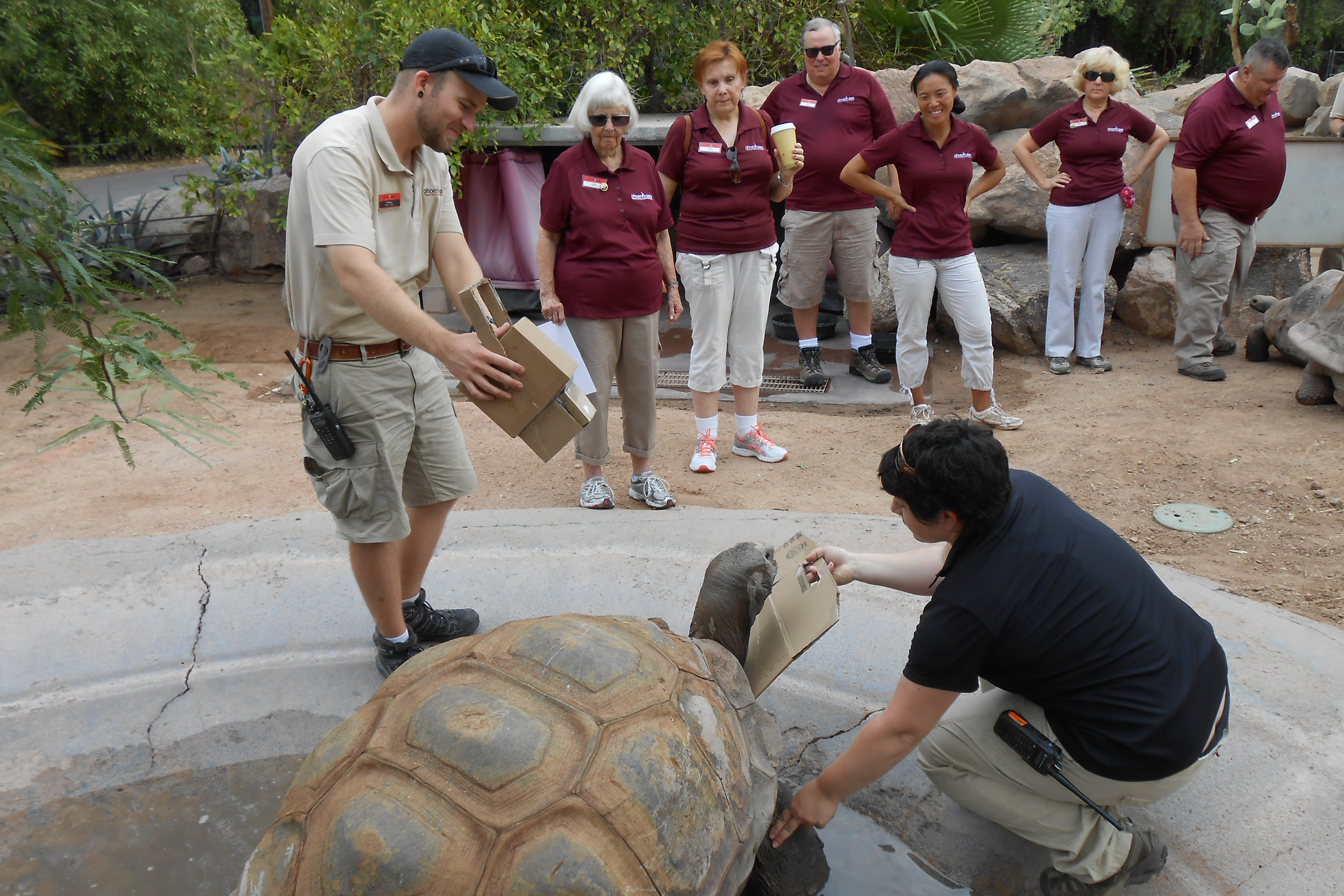 Tortoise Team members receiving instructions from zookeepers in the tortoise exhibit.